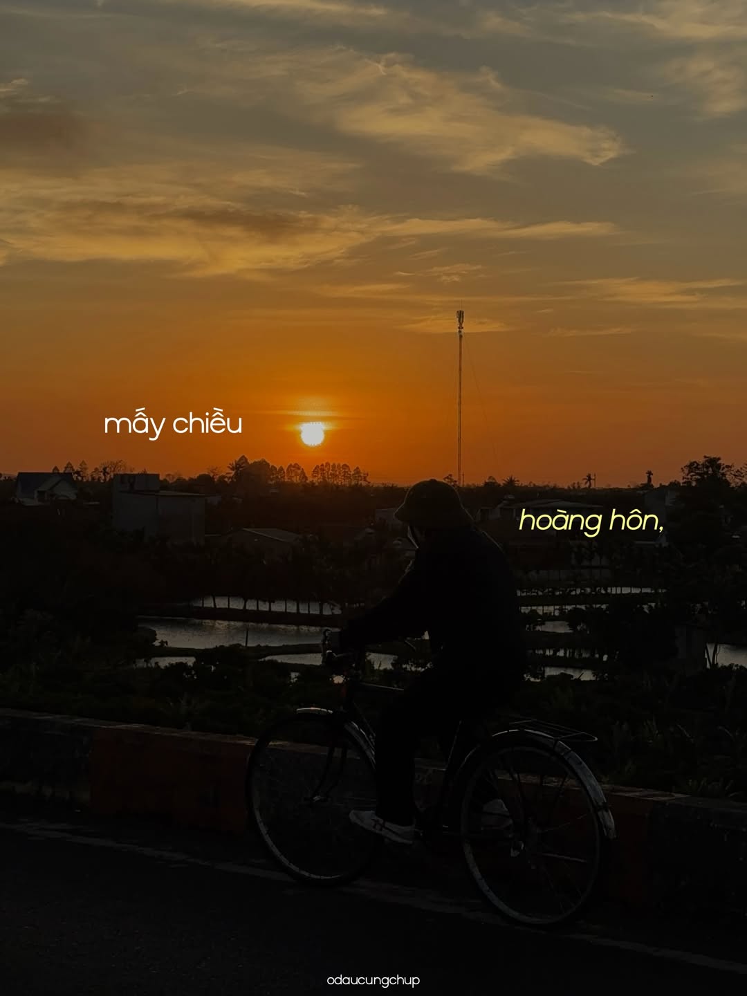 Chào nhé, Tết đi, mình cũng đi: Bộ ảnh đang viral vì ai nhìn vào cũng thấy “lụy” những thân thương này