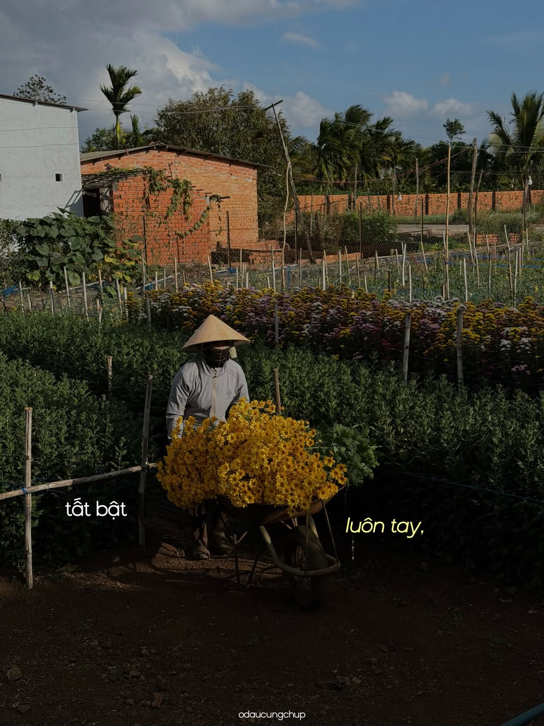 Người phải rời đi nhưng những sự bình yên, thân thuộc vẫn sẽ ở lại quê nhà