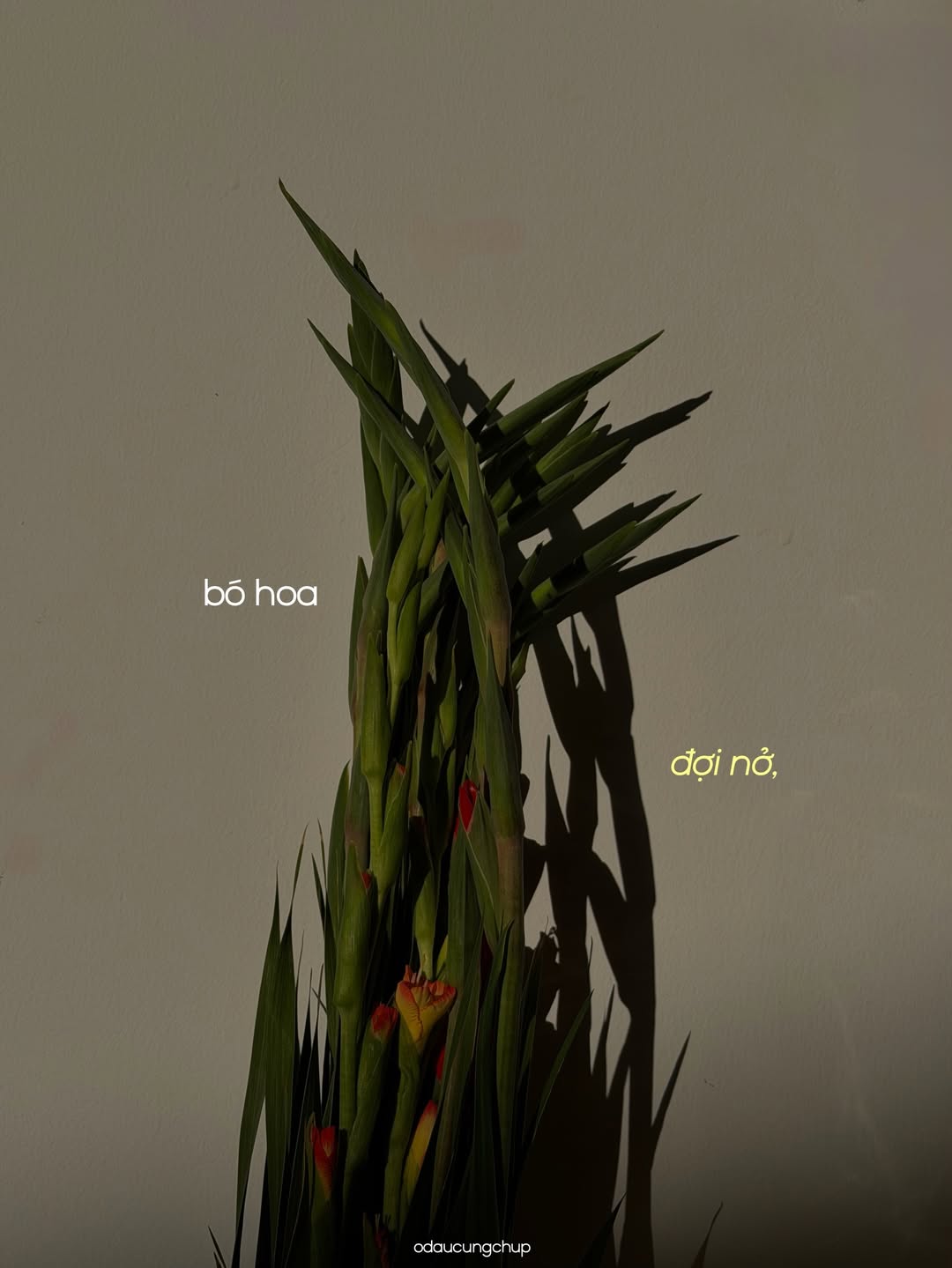 Chào nhé, Tết đi, mình cũng đi: Bộ ảnh đang viral vì ai nhìn vào cũng thấy “lụy” những thân thương này