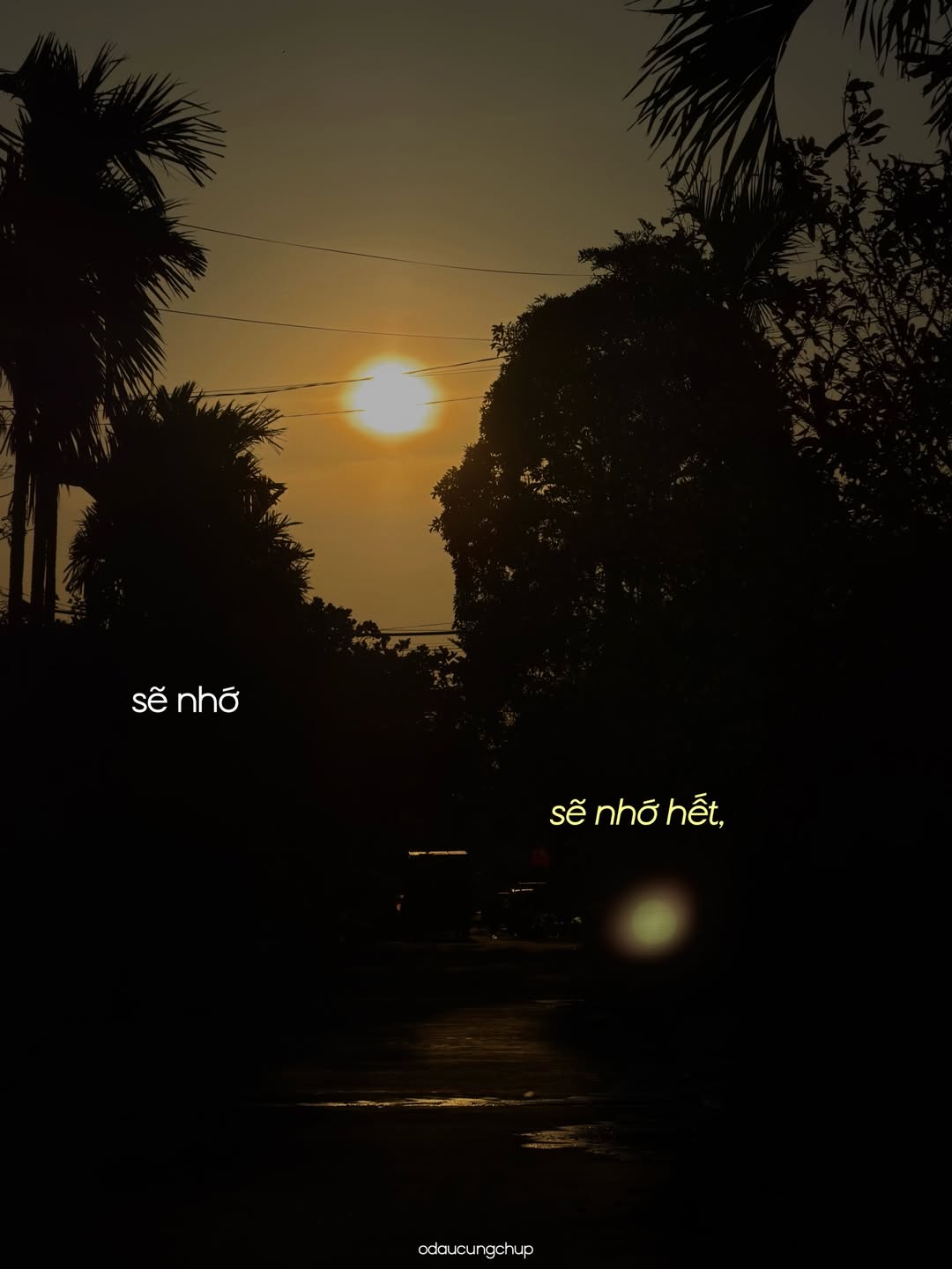 Chào nhé, Tết đi, mình cũng đi: Bộ ảnh đang viral vì ai nhìn vào cũng thấy “lụy” những thân thương này