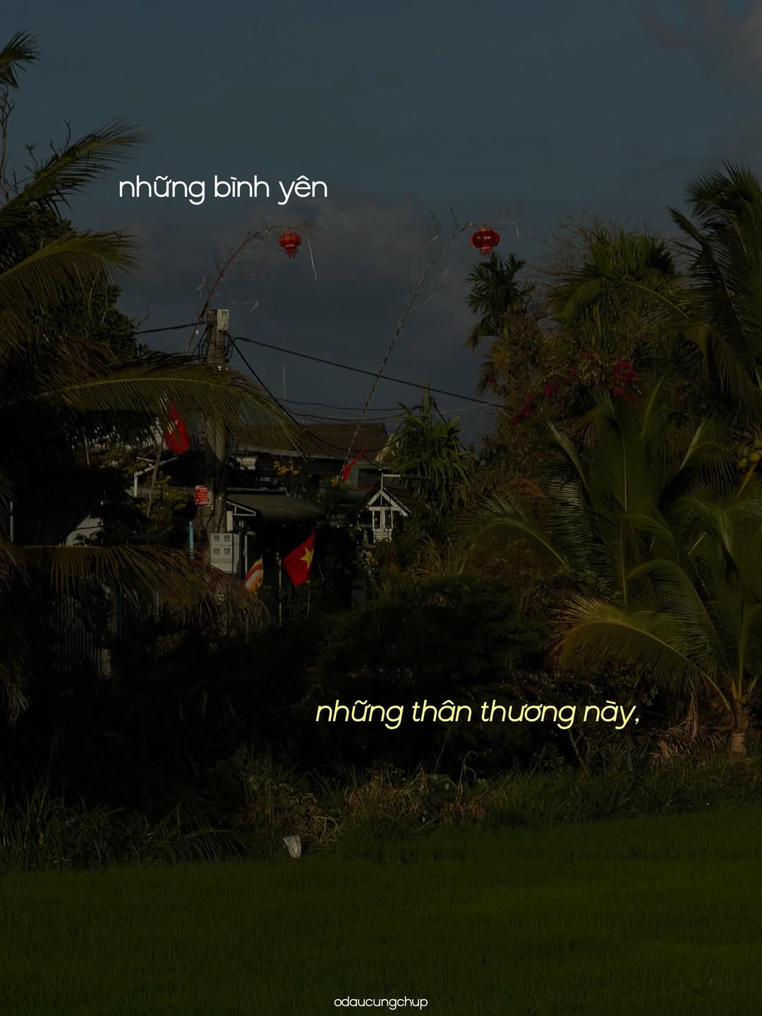 Chào nhé, Tết đi, mình cũng đi: Bộ ảnh đang viral vì ai nhìn vào cũng thấy “lụy” những thân thương này