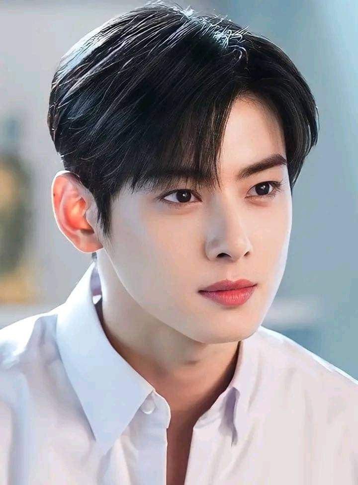 Nhờ ngoại hình nổi bật, Cha Eun Woo được truyền thông Hàn Quốc gọi là “thiên tài gương mặt” và thường xuyên xuất hiện trong các bảng xếp hạng nhan sắc (ảnh: X)