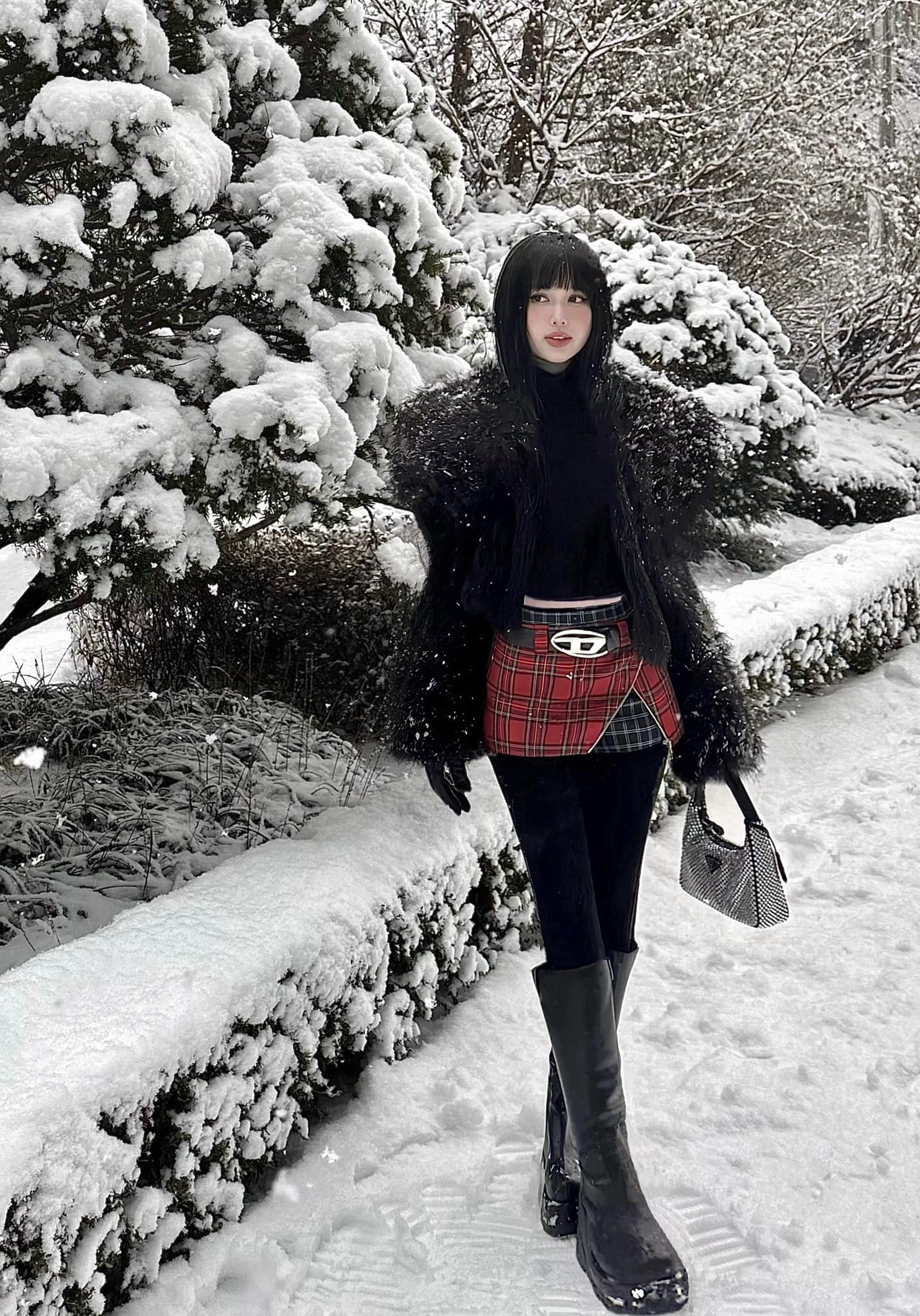 Tình hình hiện tại của Tâm Tít