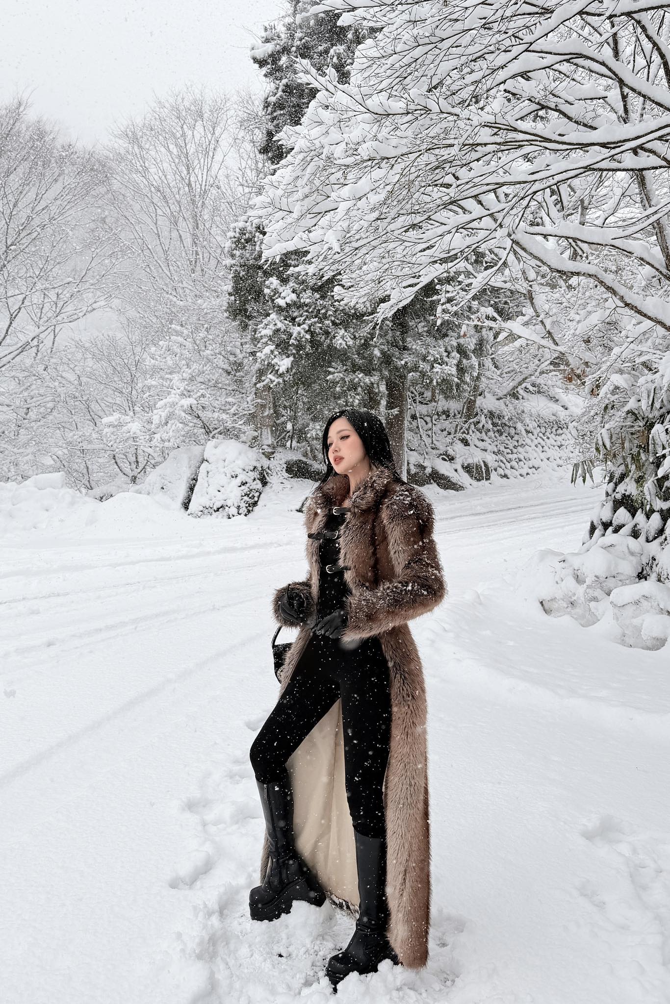 Tình hình hiện tại của Tâm Tít