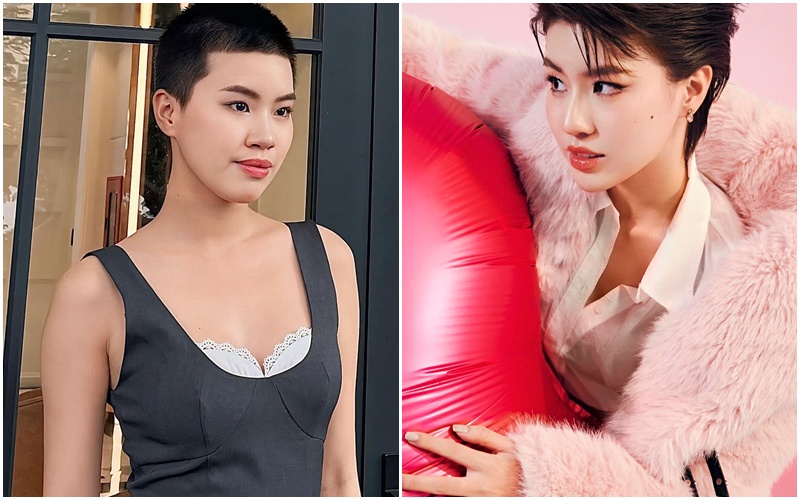 Nhan sắc của Pháo ngày càng thay đổi theo thời gian