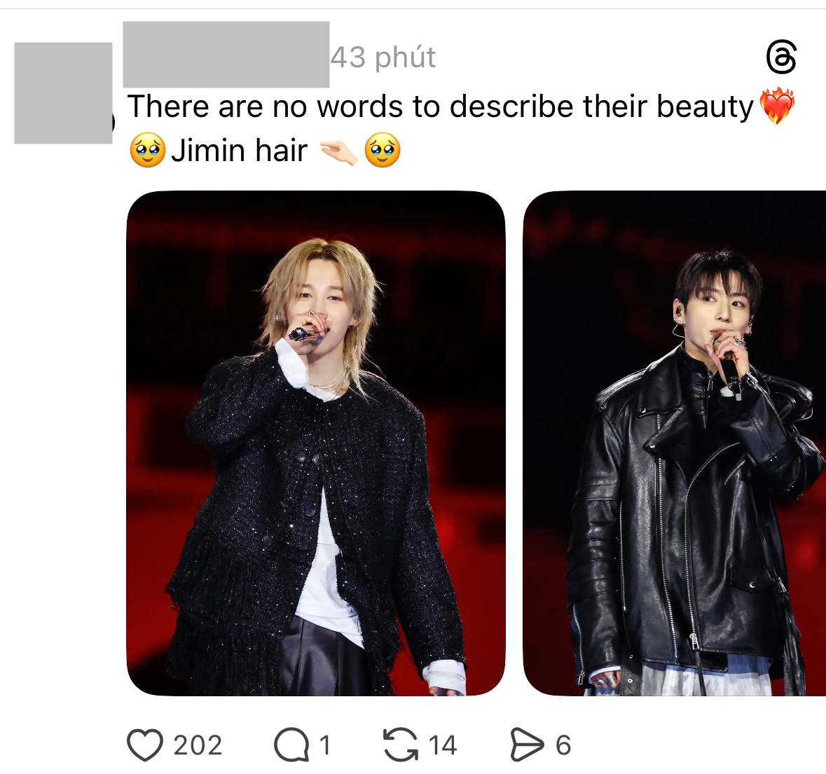 “Không có từ nào có thể diễn tả được vẻ đẹp của họ