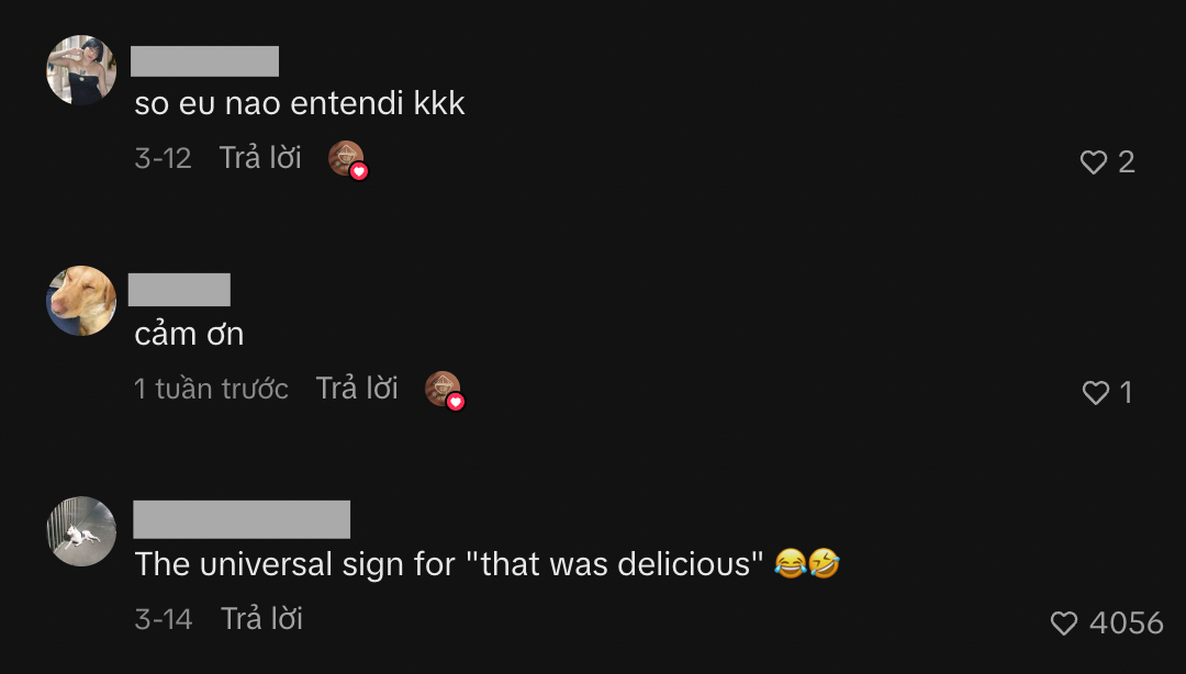 Đoạn clip nhận về nhiều bình luận từ netizen quốc tế, có người thừa nhận không hiểu nhưng cũng có ý kiến nhìn hành động là biết