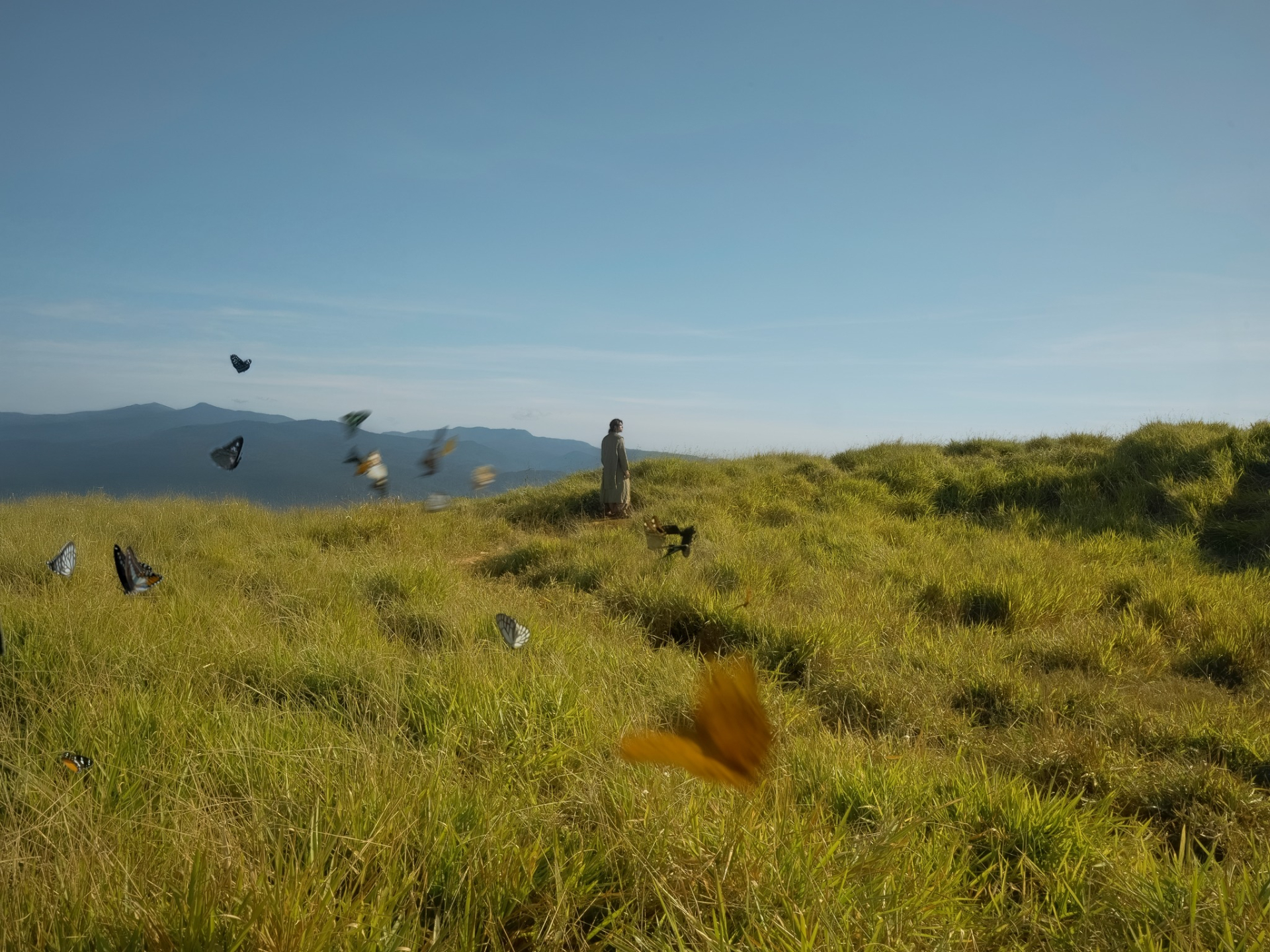 Hành trình của GREY D không phải là tìm kiếm điều gì mới, mà là học cách quay trở về với nơi anh thực sự thuộc về