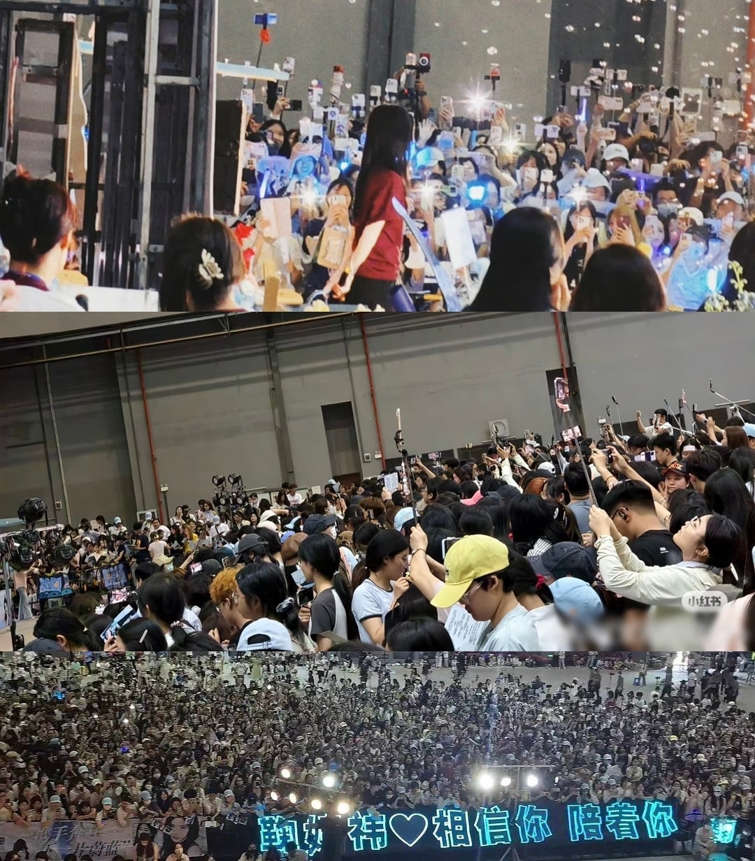 Cúc Tịnh Y khiến 10.000 người đổ về chỉ để ngắm nhìn vài phút