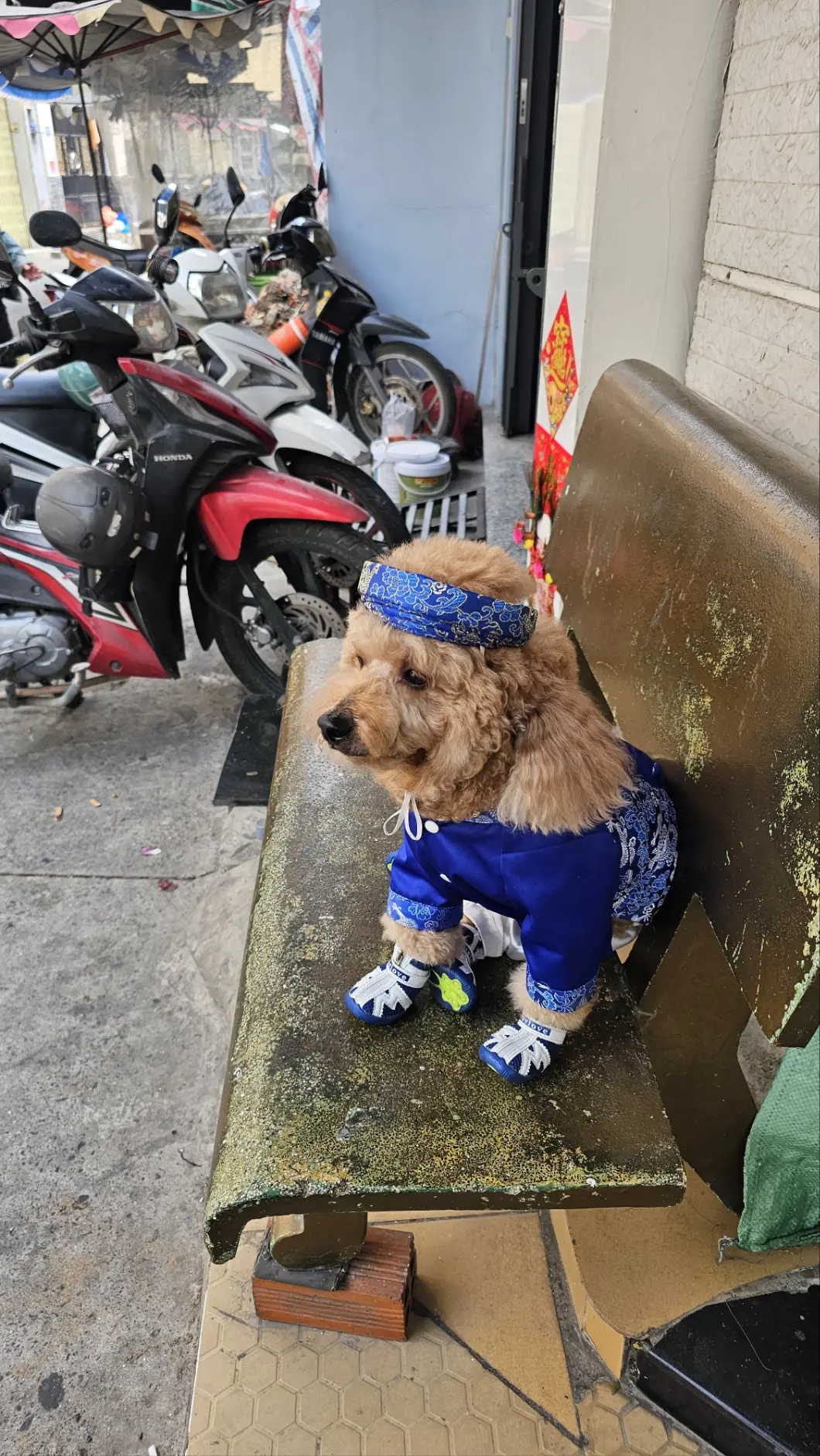 Dịp nào cũng có đồ đẹp để mặc (Nguồn ảnh: @siu)