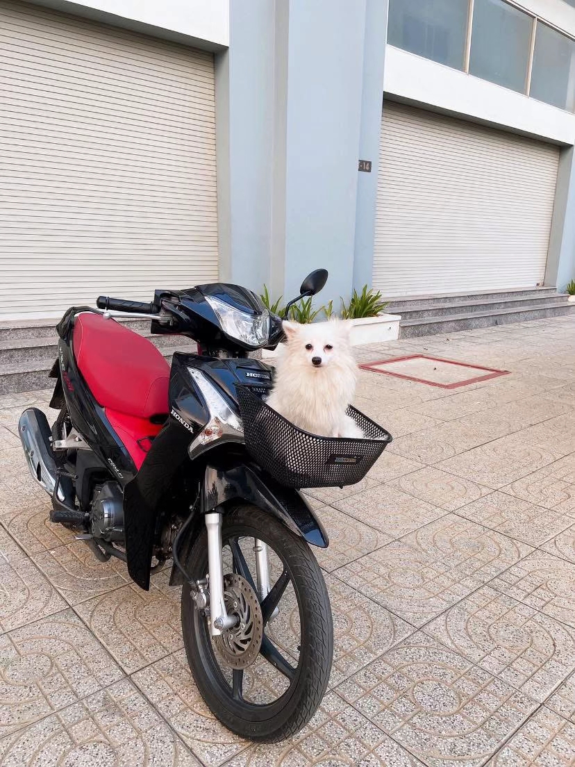 Hình ảnh không khó để bắt gặp tại Việt Nam (Nguồn ảnh: trhaidang0)

