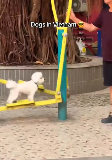 Và cũng trở thành 