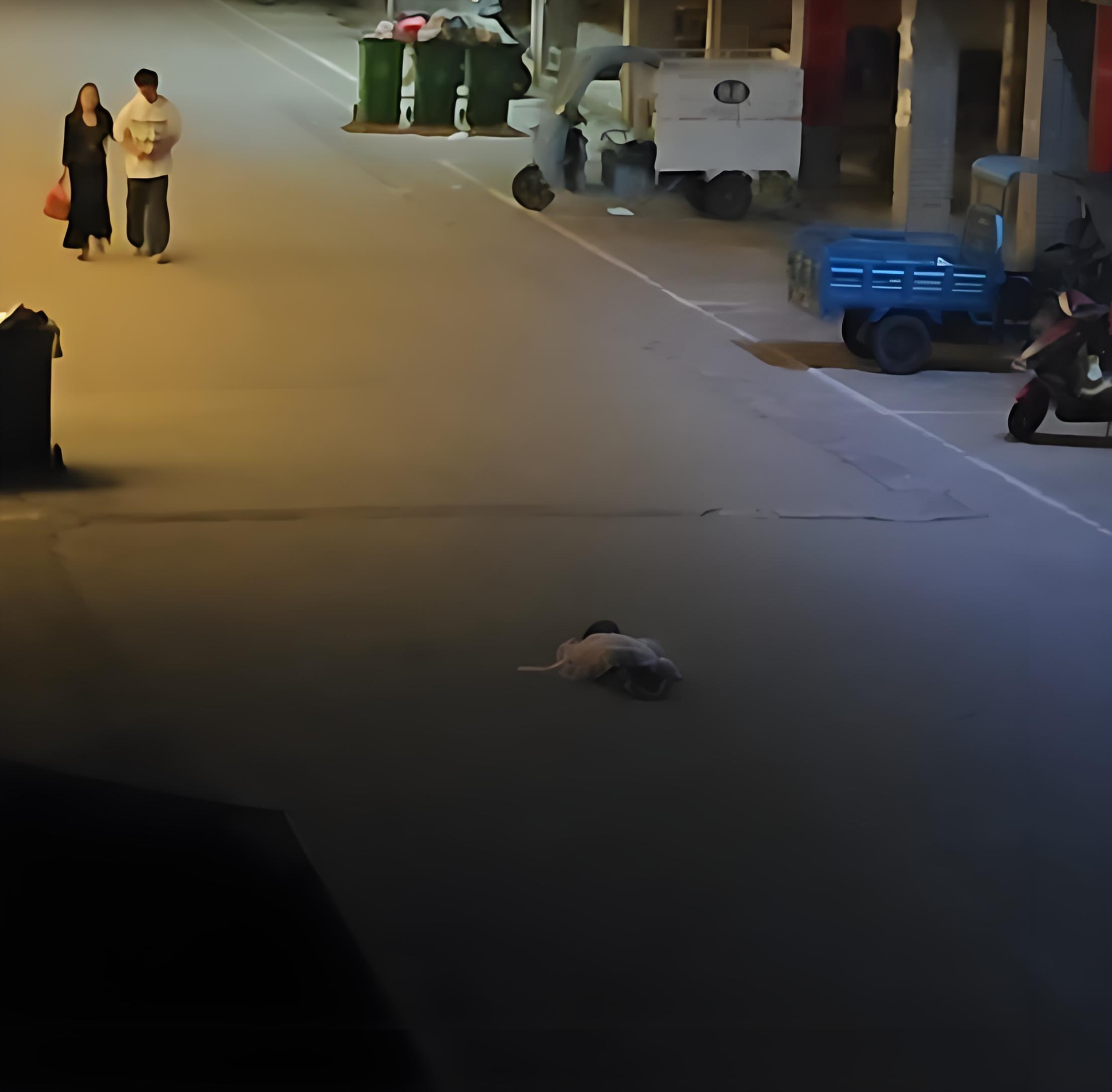 Hình ảnh bé gái nằm khóc giữa đường phố một mình khiến nhiều người xót xa