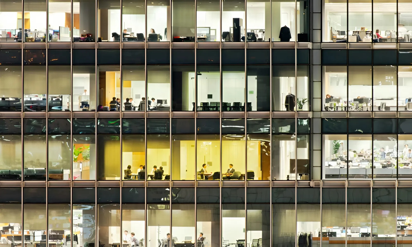 Ảnh minh họa: hcamag