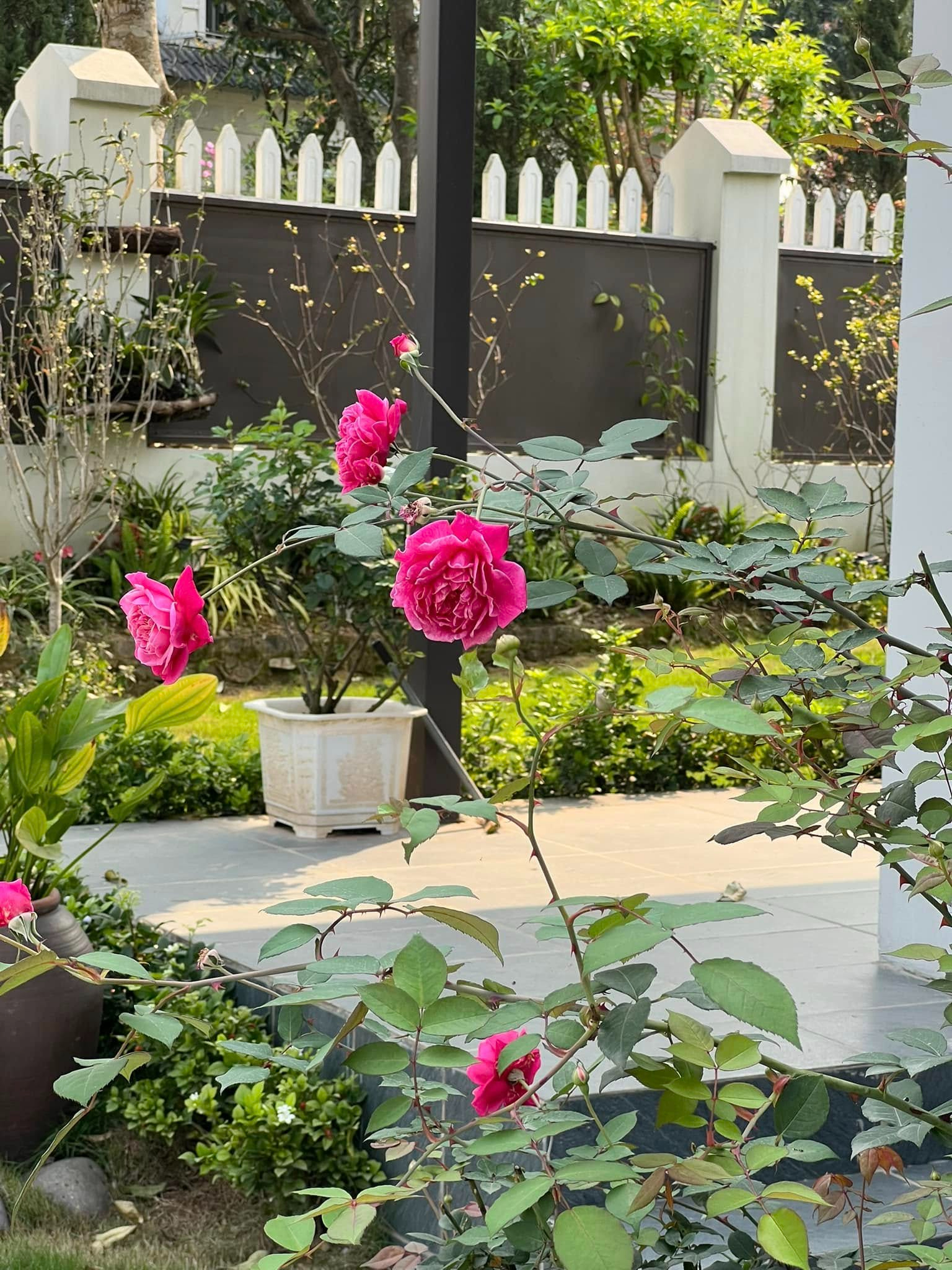 Cơ ngơi như nghỉ dưỡng tại gia của con gái nhà ngoại giao Đặng Nghiêm Hoành, đang làm sếp ở VTV