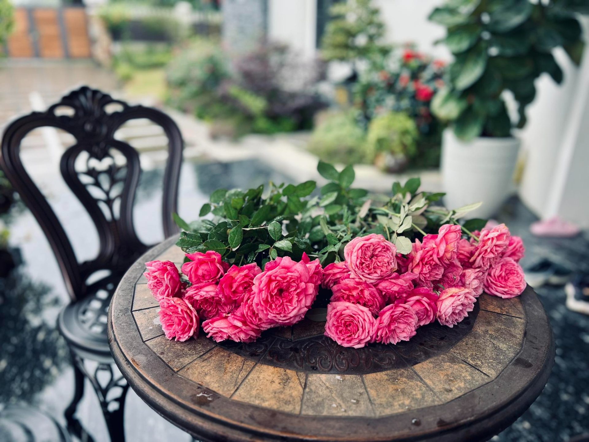 Cơ ngơi như nghỉ dưỡng tại gia của con gái nhà ngoại giao Đặng Nghiêm Hoành, đang làm sếp ở VTV