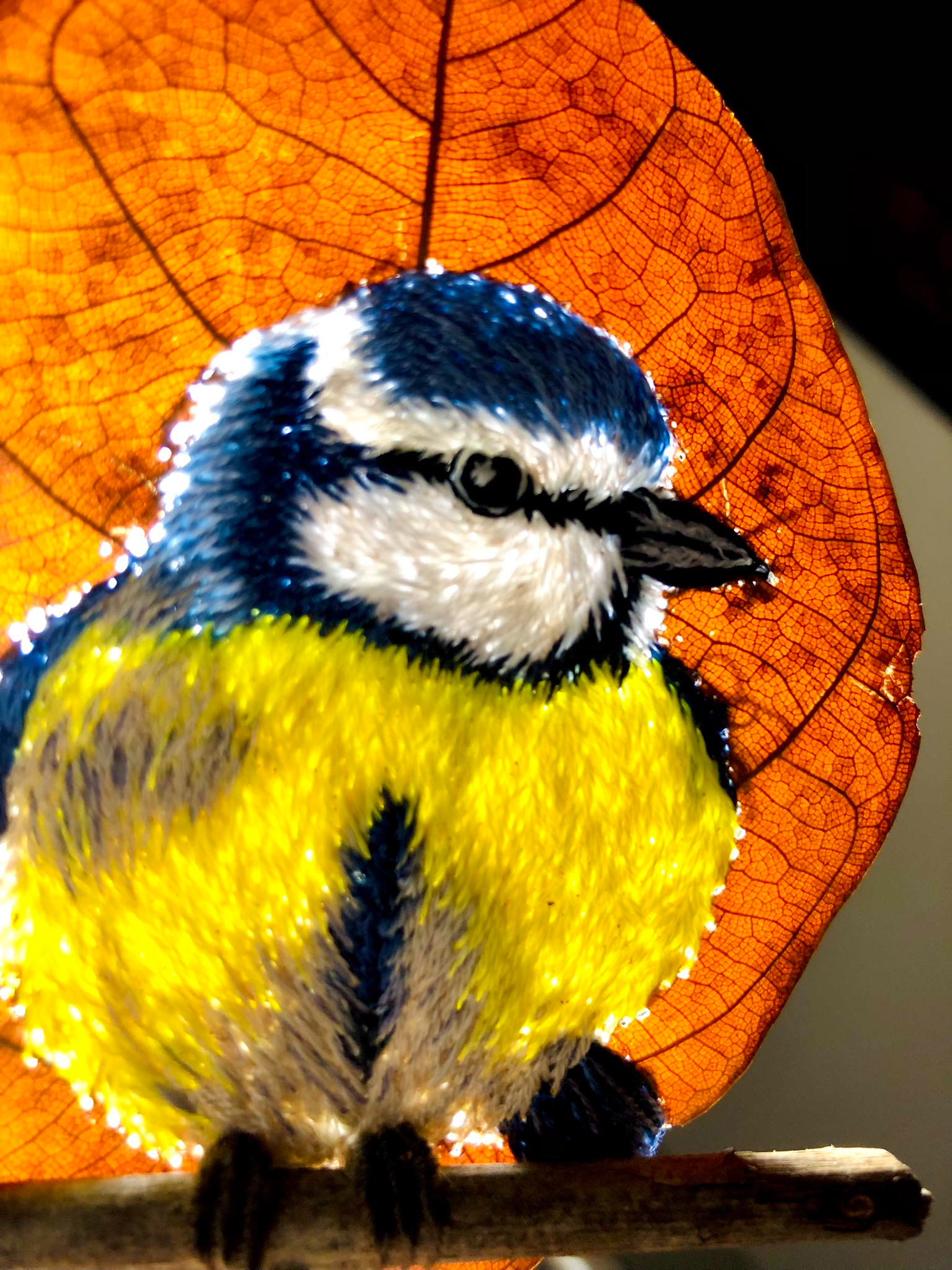 Cô gái Lâm Đồng nhặt lá mít khô ngoài vườn, thức đến 3h sáng “hô biến