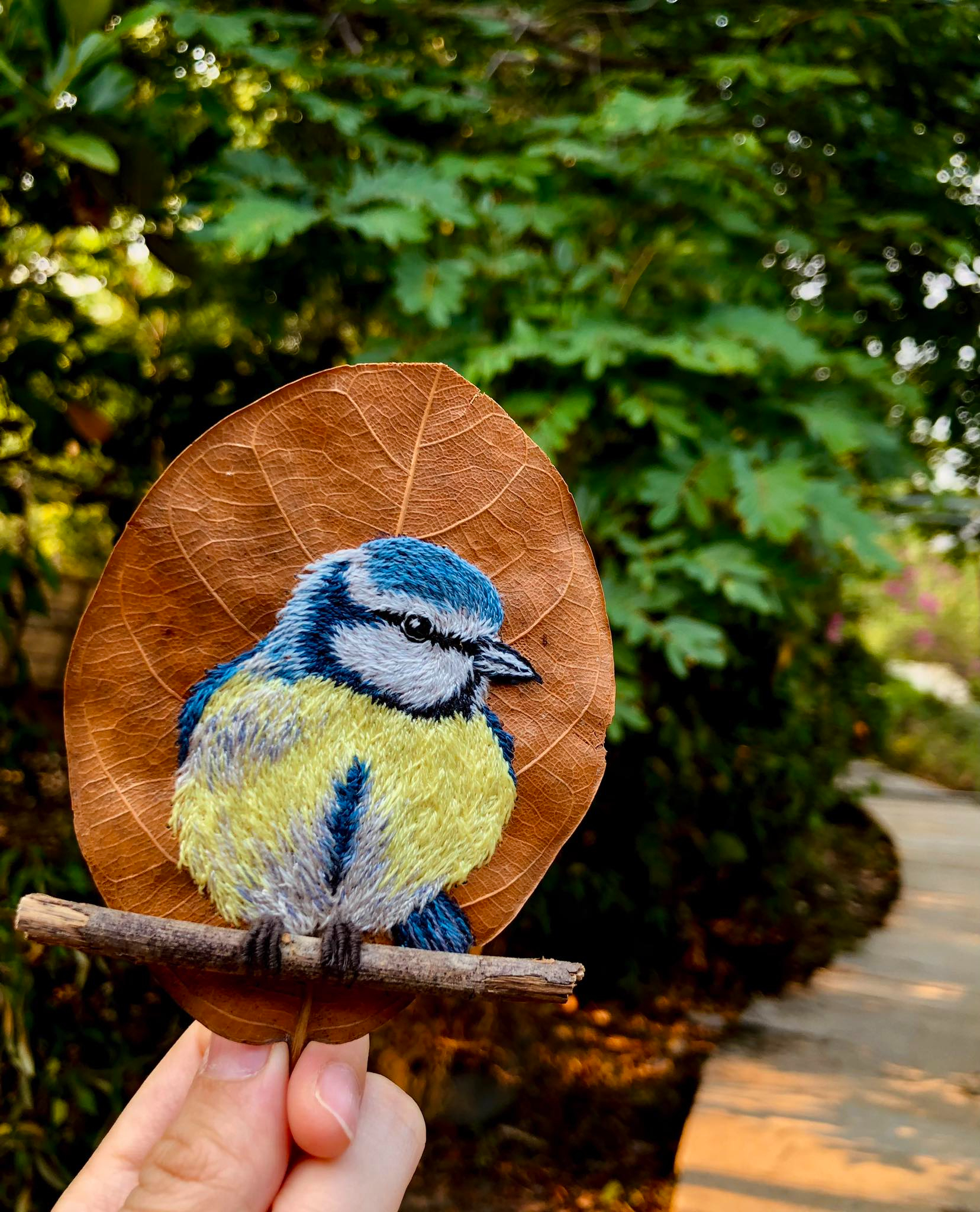 Cô gái Lâm Đồng nhặt lá mít khô ngoài vườn, thức đến 3h sáng “hô biến