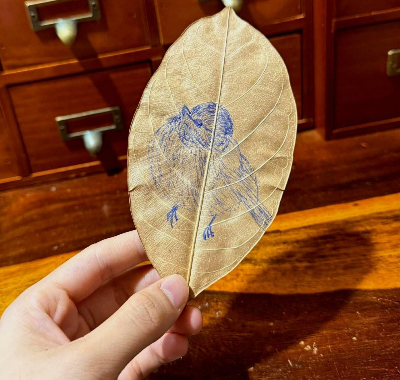 Cô gái Lâm Đồng nhặt lá mít khô ngoài vườn, thức đến 3h sáng “hô biến