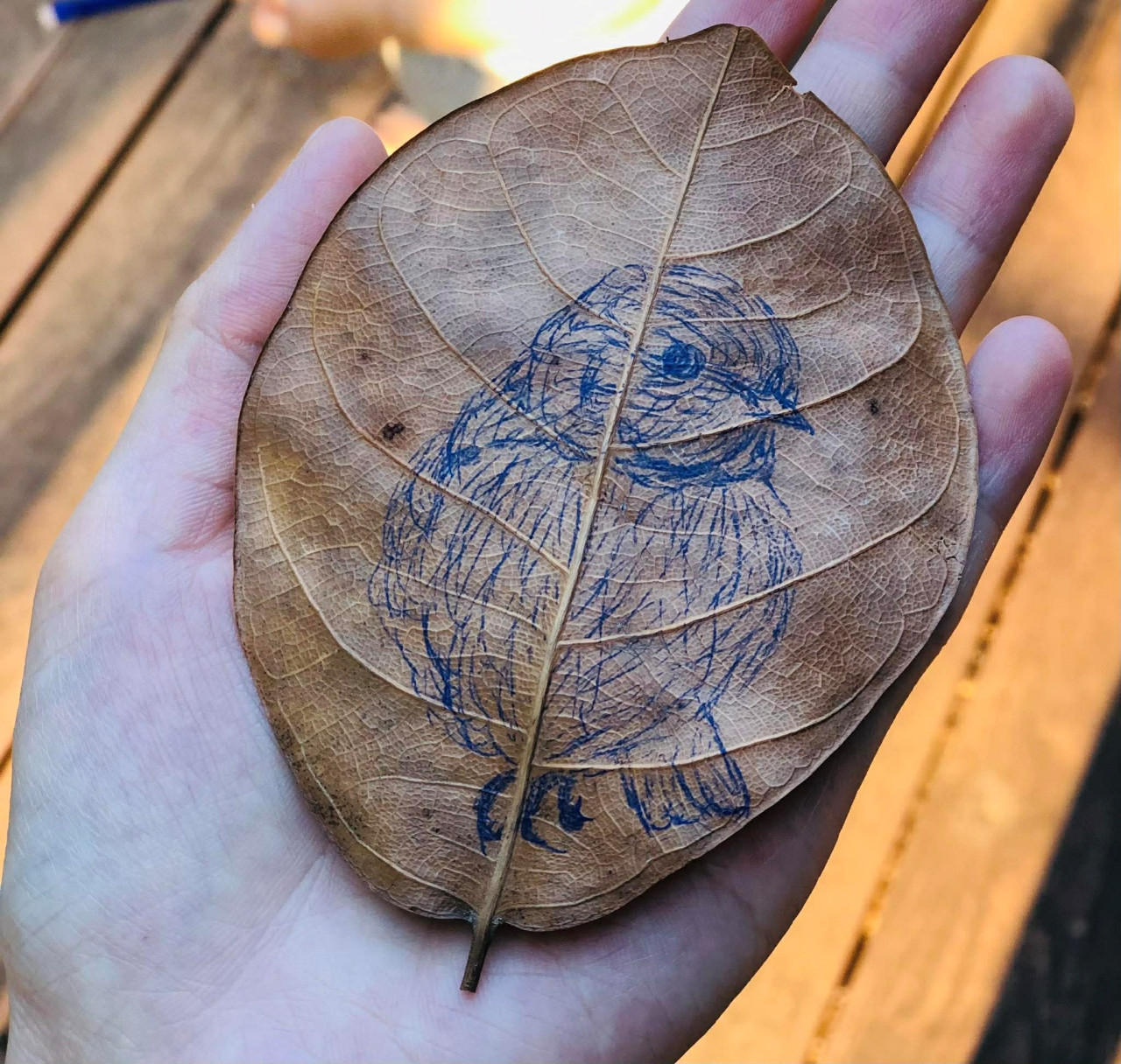 Lá mít khi mới được vẽ phác thảo