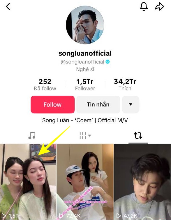 Song Luân và Narl Nguyễn 