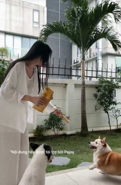 Một số hình ảnh trong cơ ngơi đang sinh sống của Thu Thảo