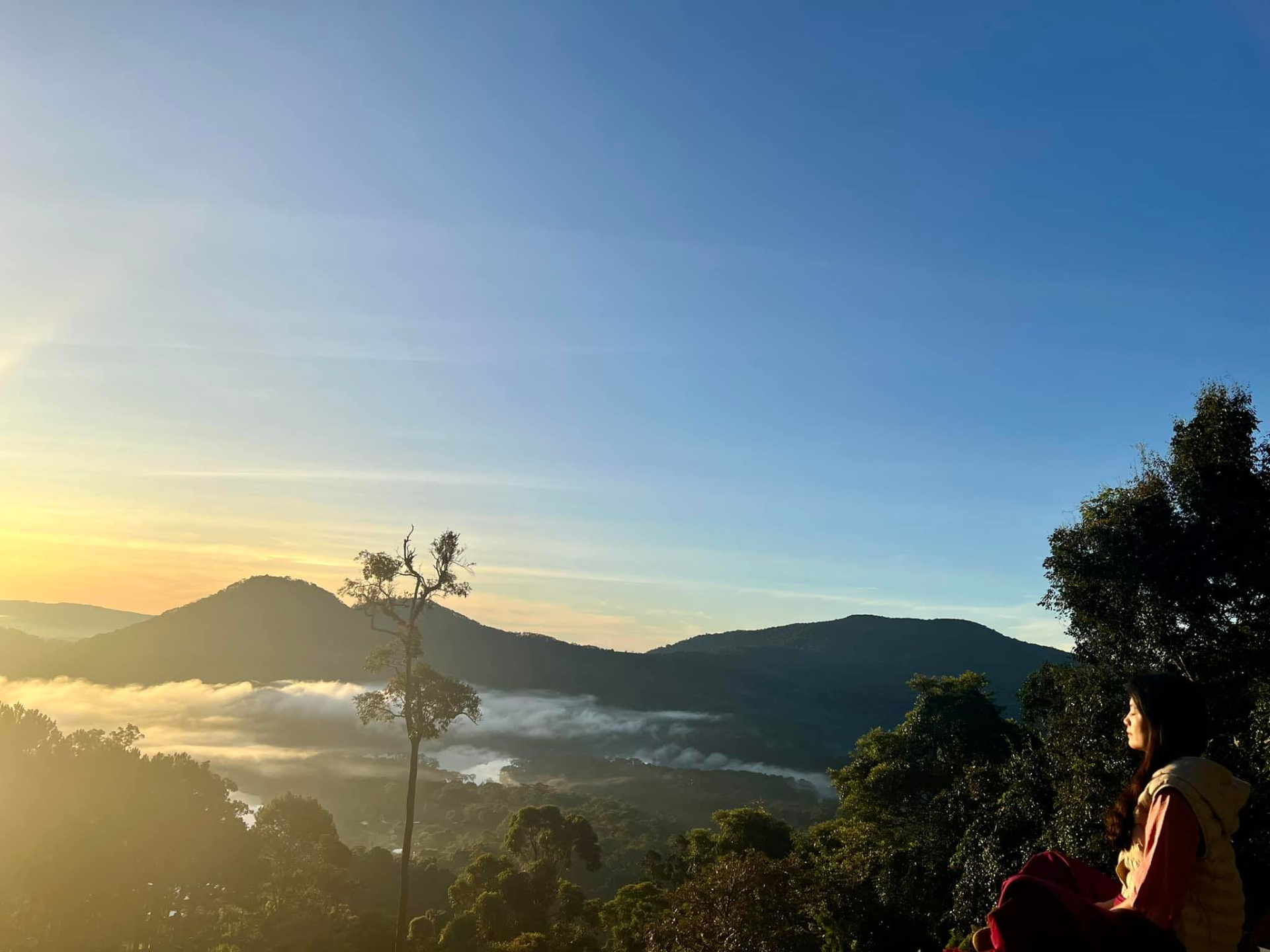 BTV thời sự 19h nghỉ việc ở VTV để làm CEO và 