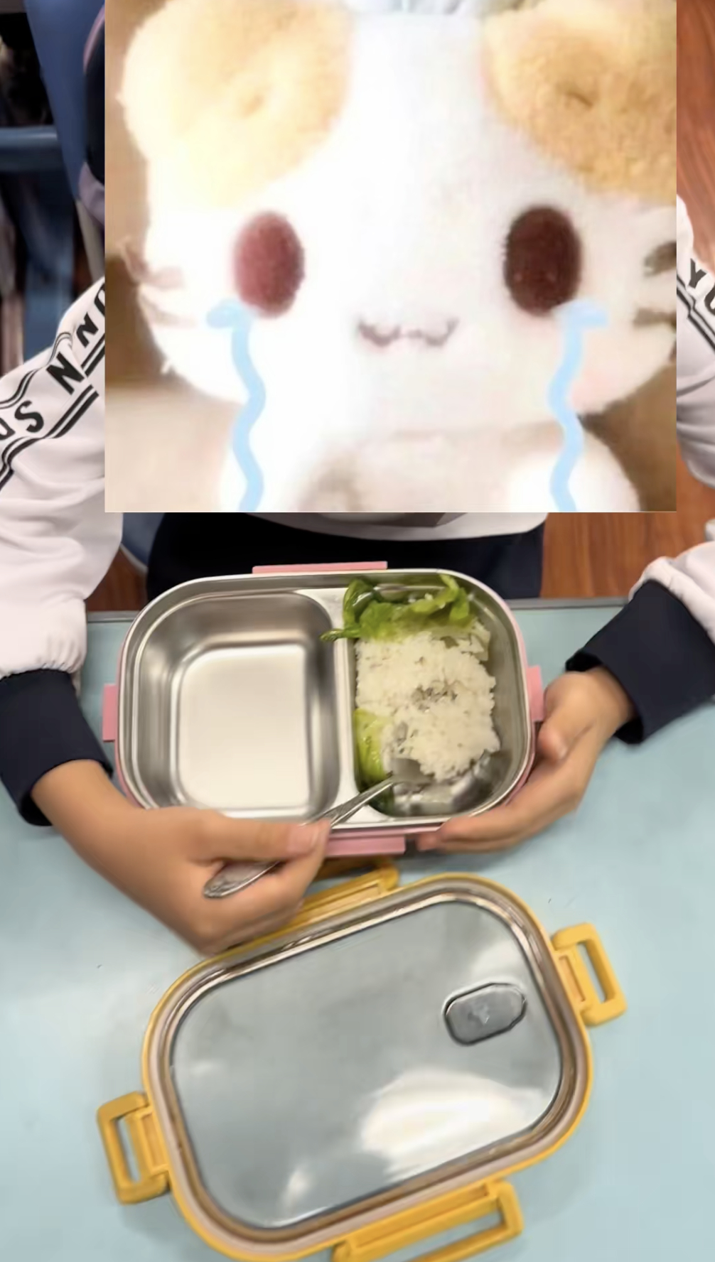 Hộp cơm của em chỉ vỏn vẹn một nhúm cơm và chút rau xanh