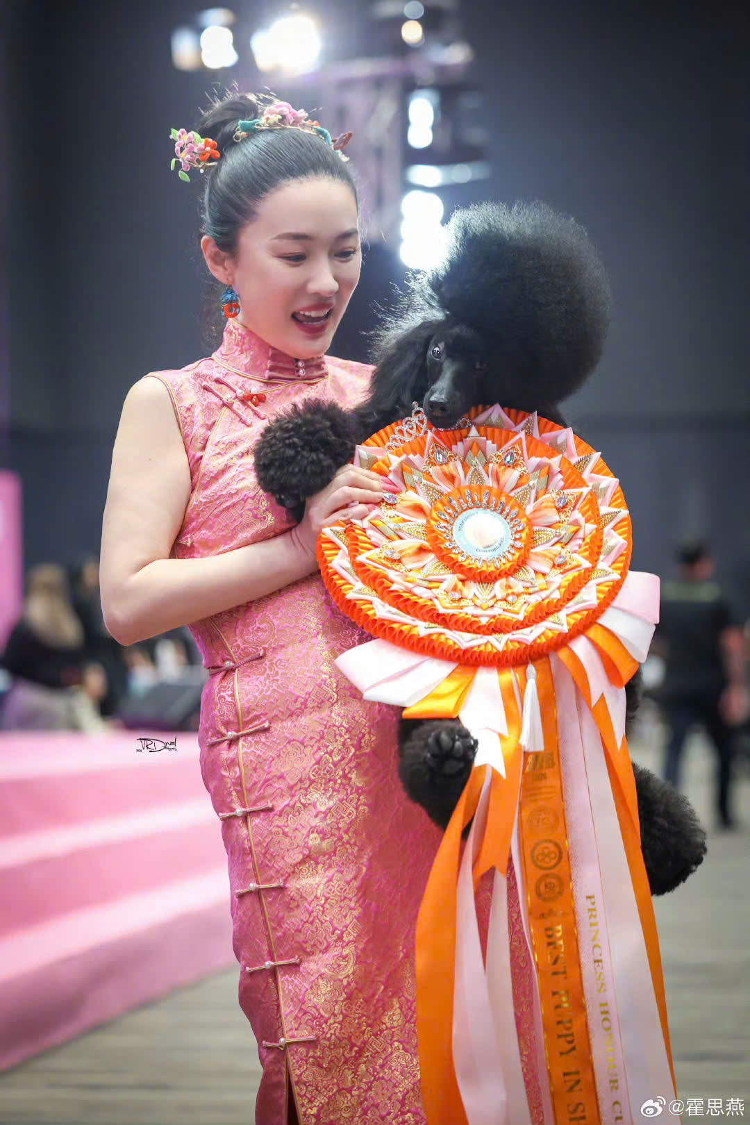 Phú bà showbiz có chồng lên TikTok 