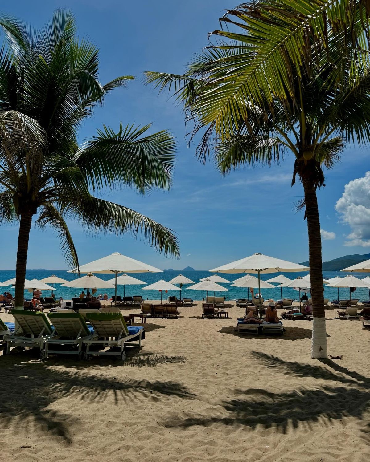 Bức ảnh chứng minh Nha Trang là một trong những vịnh đẹp nhất thế giới