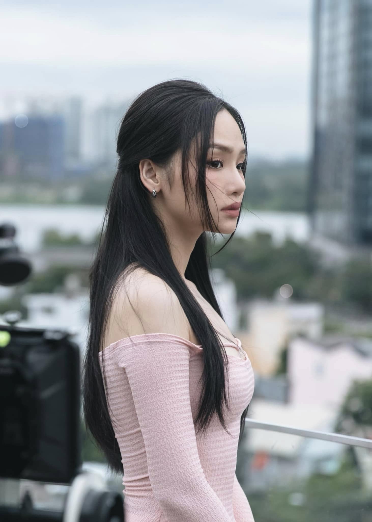 Miu Lê sở hữu sự nghiệp như mơ trước khi dính bê bối liên quan đến ma tuý (Ảnh: FBNV)