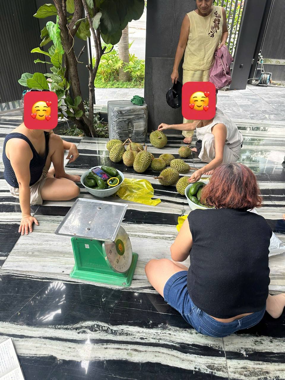 Khách tới mua vào tận biệt thự để chọn từng quả cho ưng ý