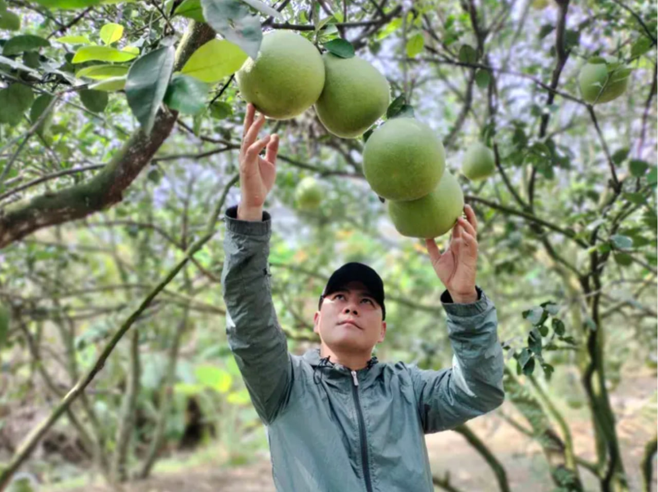 Việt Nam vừa có thành phố thứ 7, nơi cất giấu cỗ máy thời gian bằng đá và ngôi làng không bao giờ khoá cửa