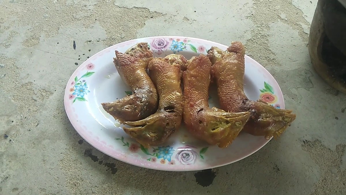 Ảnh minh họa