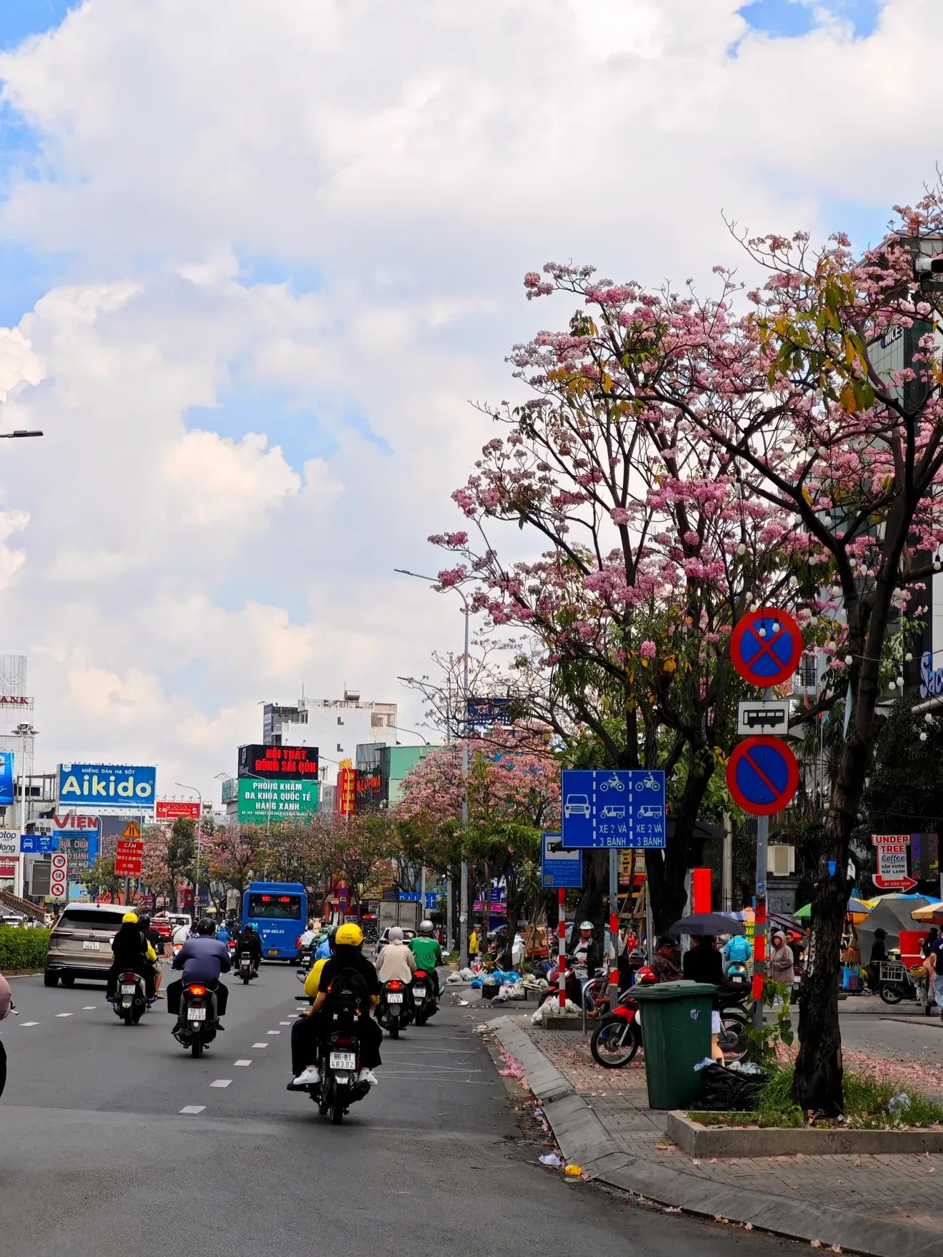 Sống ở TP.HCM hơn 10 năm mới thấy mùa kèn hồng