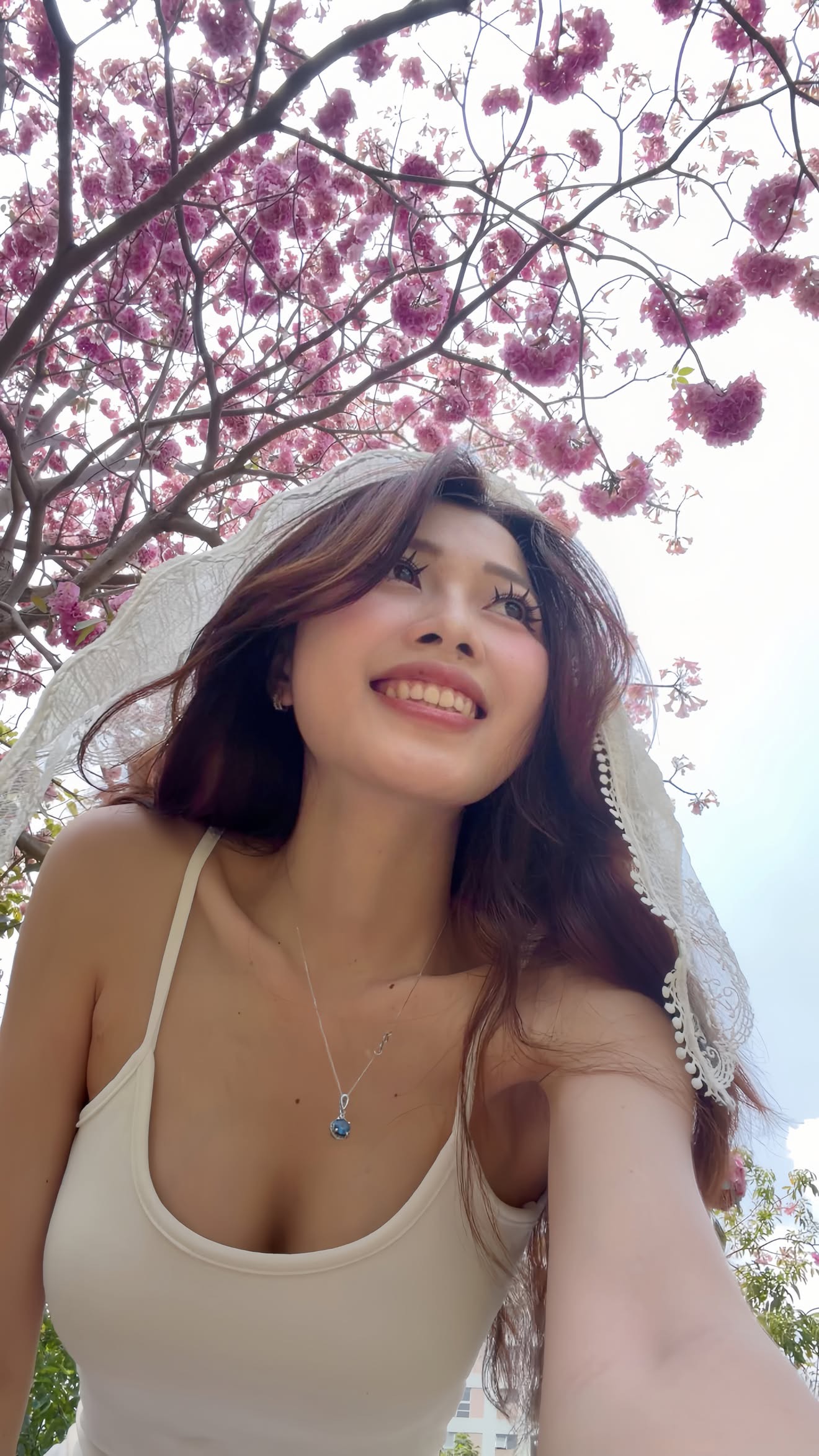 Ảnh: Meow đi lạc