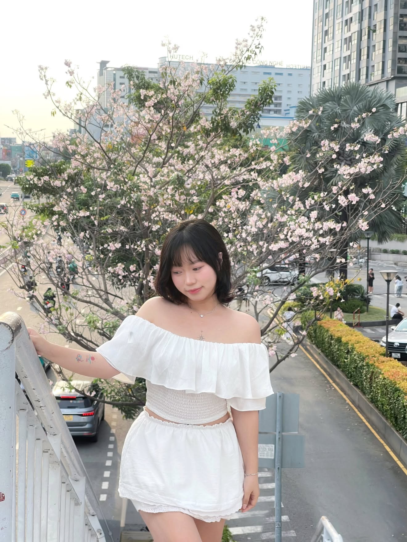 Sống ở TP.HCM hơn 10 năm mới thấy mùa kèn hồng