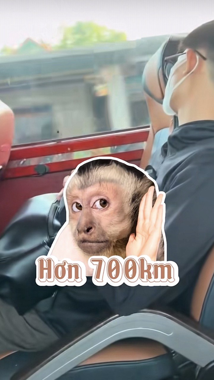 Chàng trai Việt trải nghiệm chuyến xe 18 tiếng đi Thái Lan với 1 triệu đồng: