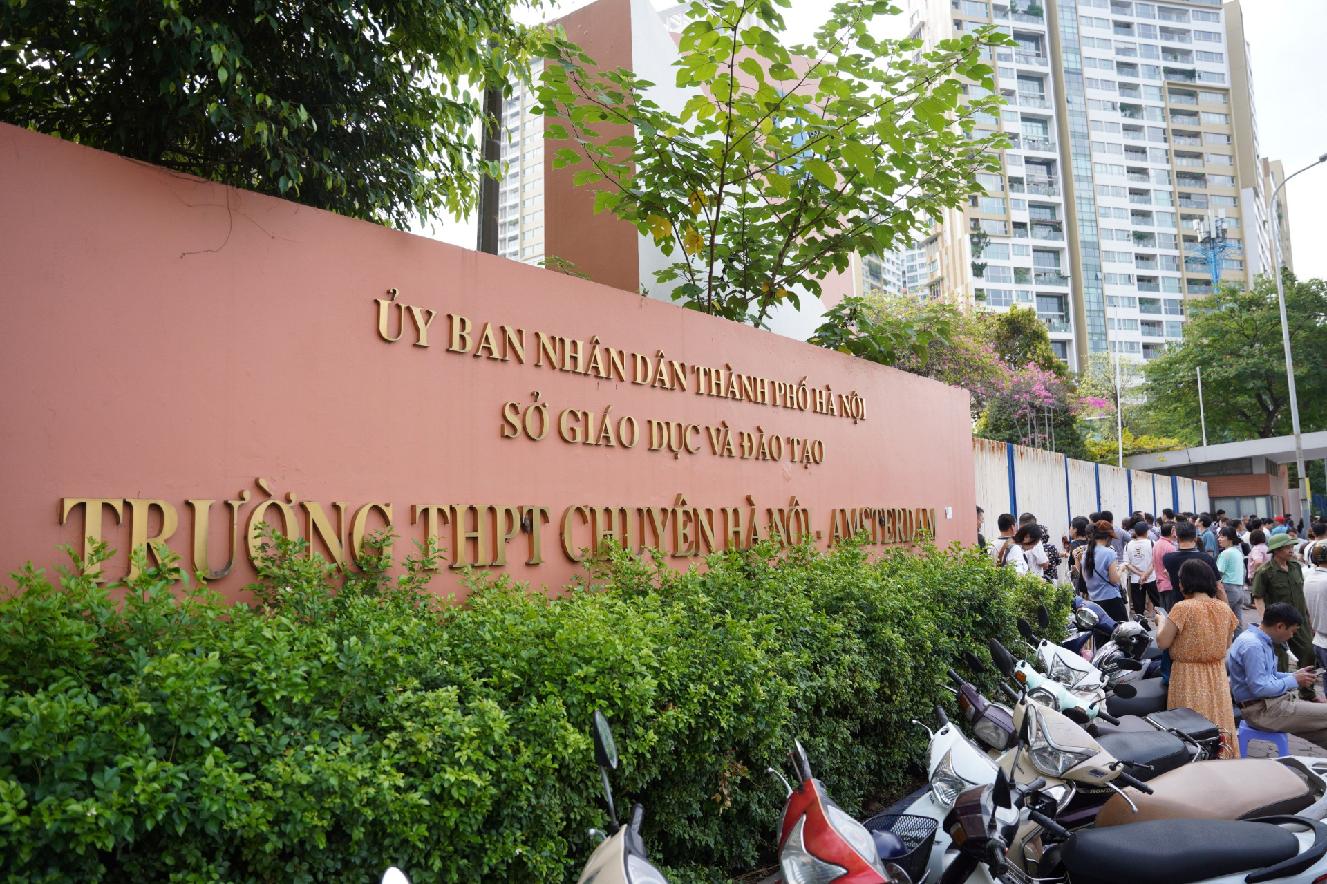 Ảnh: Nhật Long