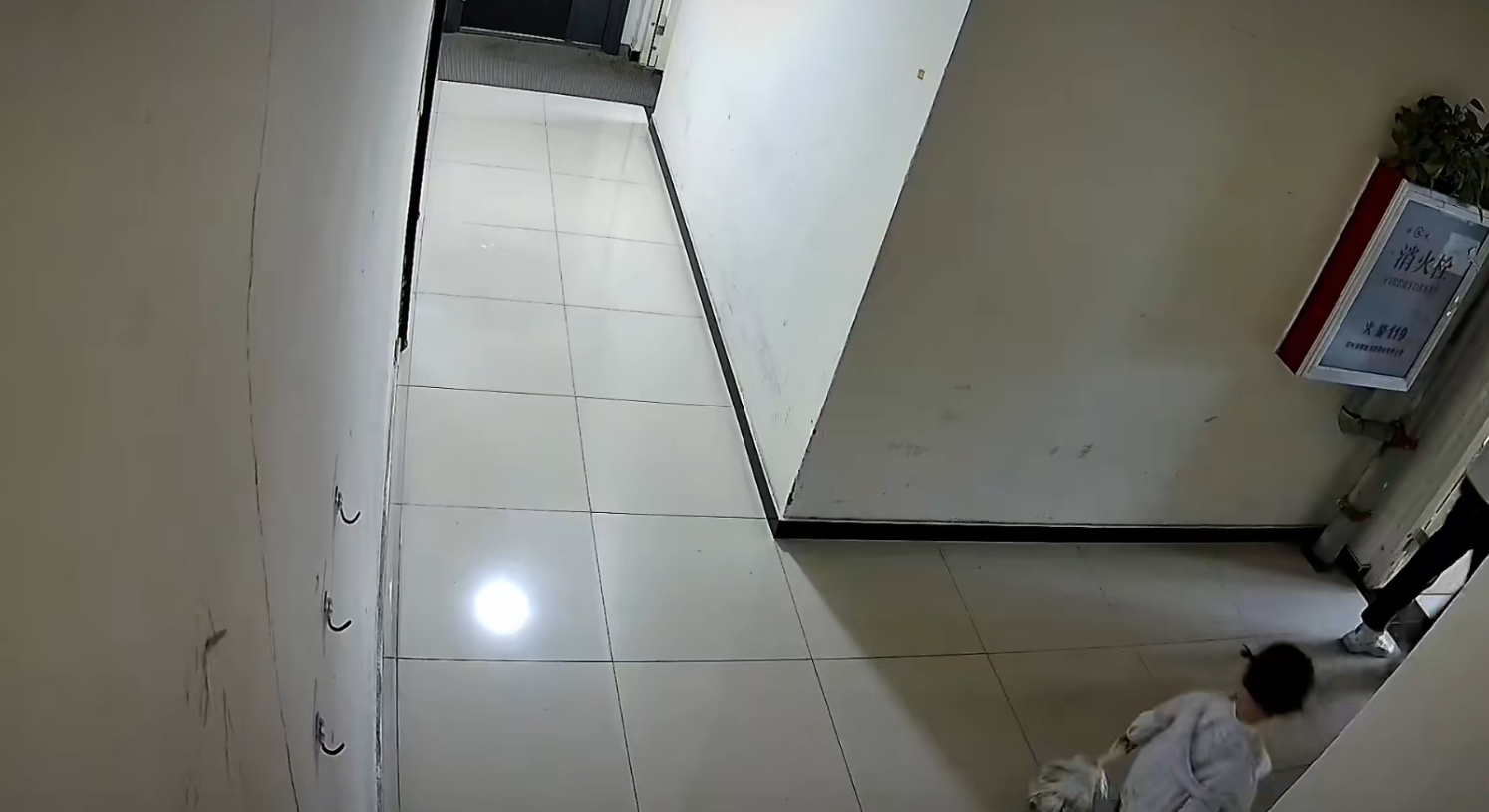 Bóng dáng nho nhỏ xách túi rác to to khiến người ta không khỏi ôm tim