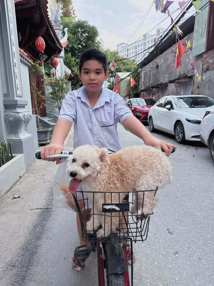 Hình ảnh đời thường của cậu bé Khang và bạn cún của gia đình (Ảnh: FBNV)