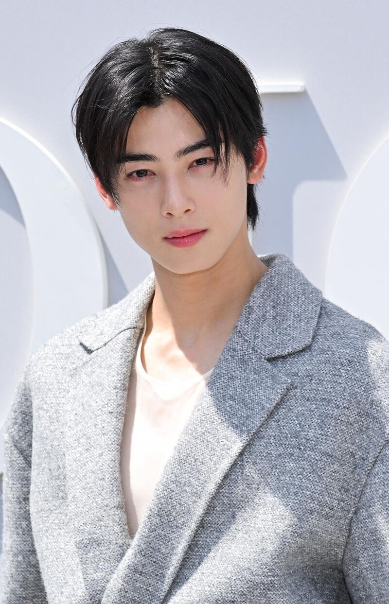 Cha Eun Woo là biểu tượng visual Kpop, được ví như