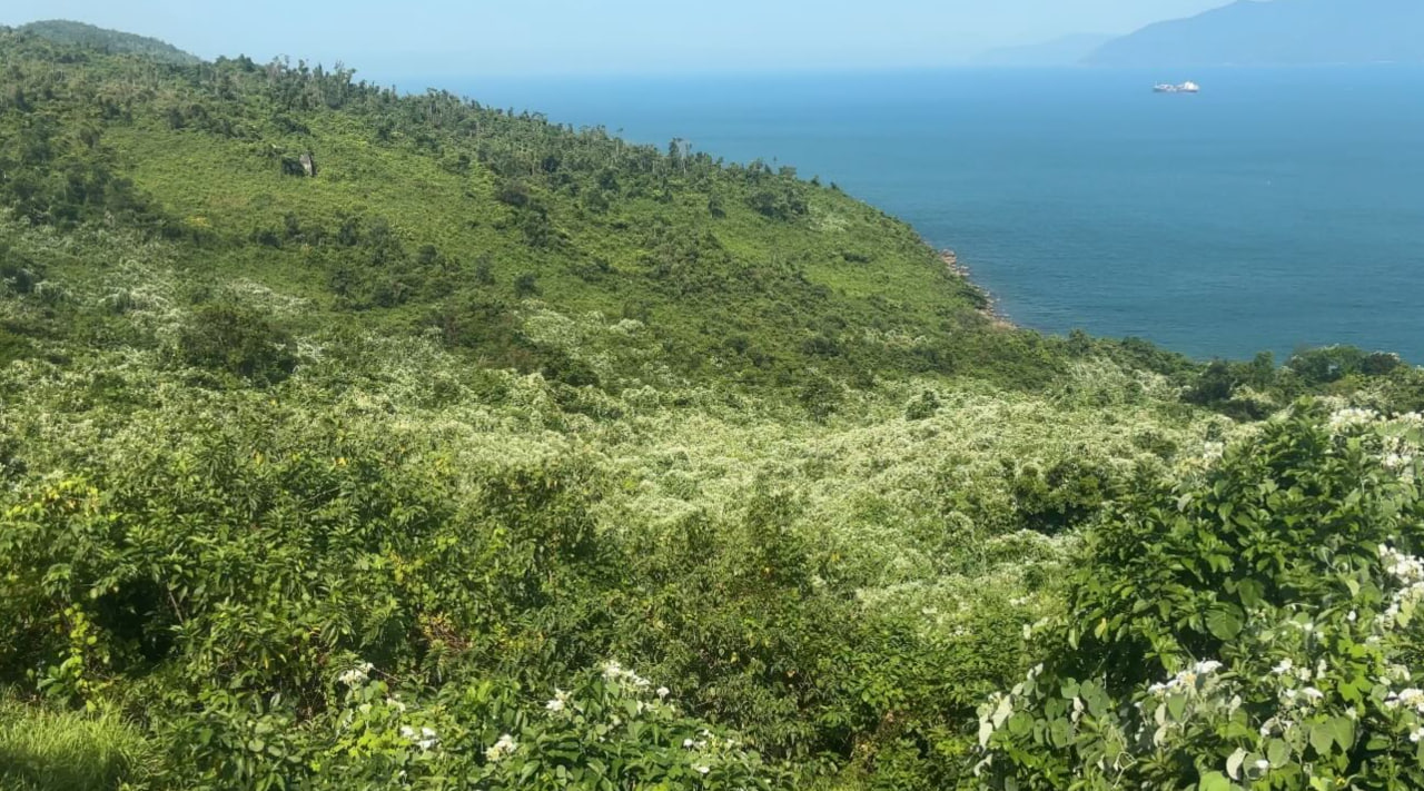 Hiện tượng lạ đang xuất hiện trên cung đường nổi tiếng bậc nhất Việt Nam, nhìn từ xa cứ ngỡ có tuyết