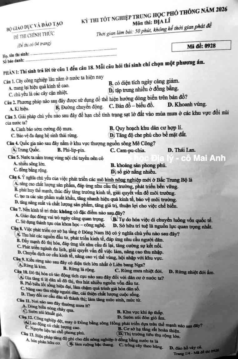 Ảnh: Tin giáo dục TP. Hồ Chí Minh