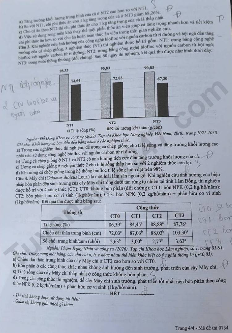 Ảnh: Tuyensinh247.com