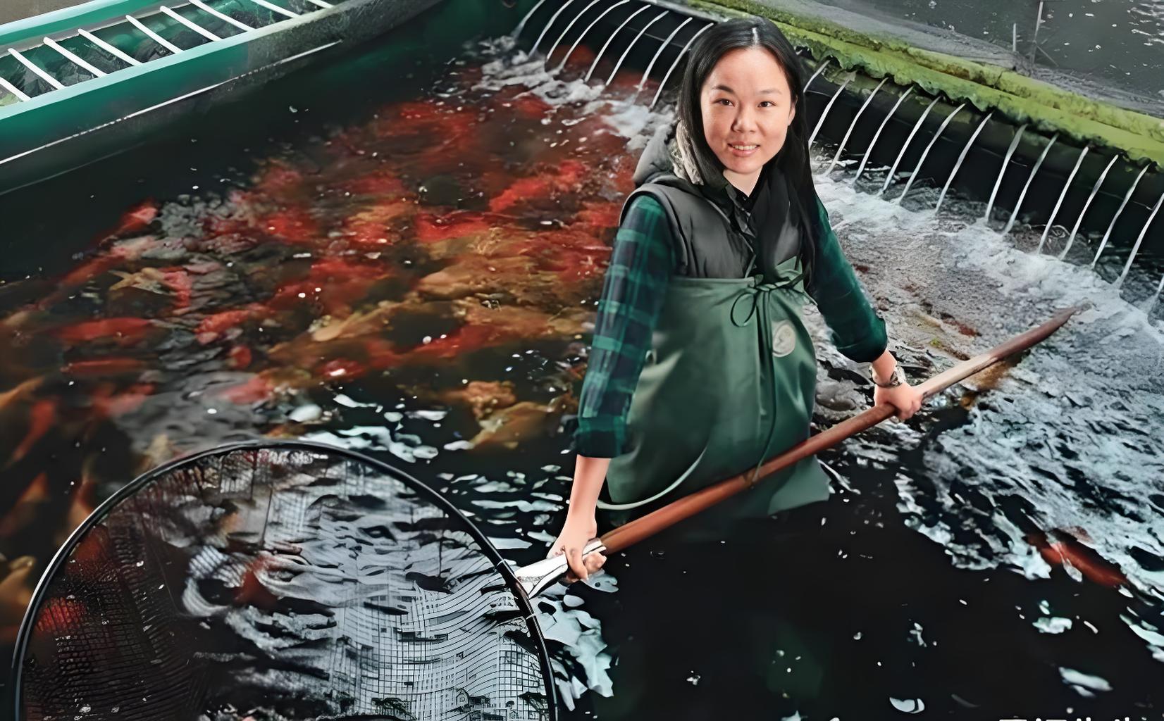 Nhờ hồ cá Koi, Chung Oánh Oánh đã giúp gia đình trả hết nợ và vực dậy thần kỳ