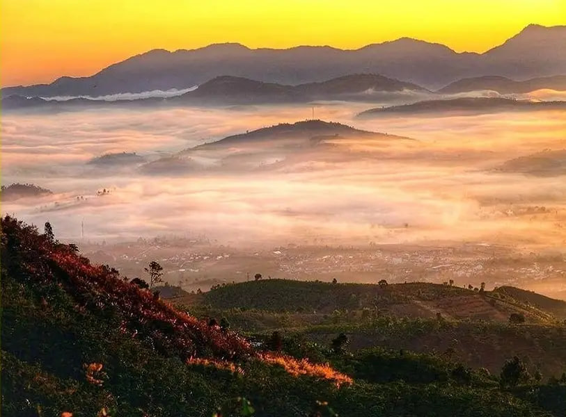 Việt Nam có thành phố mát lạnh cao 900m: Nơi ra đời 108 lá thư tình Trịnh Công Sơn, nay lại gây sốt với cổng trời của Sơn Tùng M-TP
