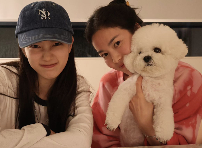 Suzy còn tới nhà Song Hye Kyo chơi, chụp hình lưu niệm với cún cưng của đàn chị. Ảnh: Nate