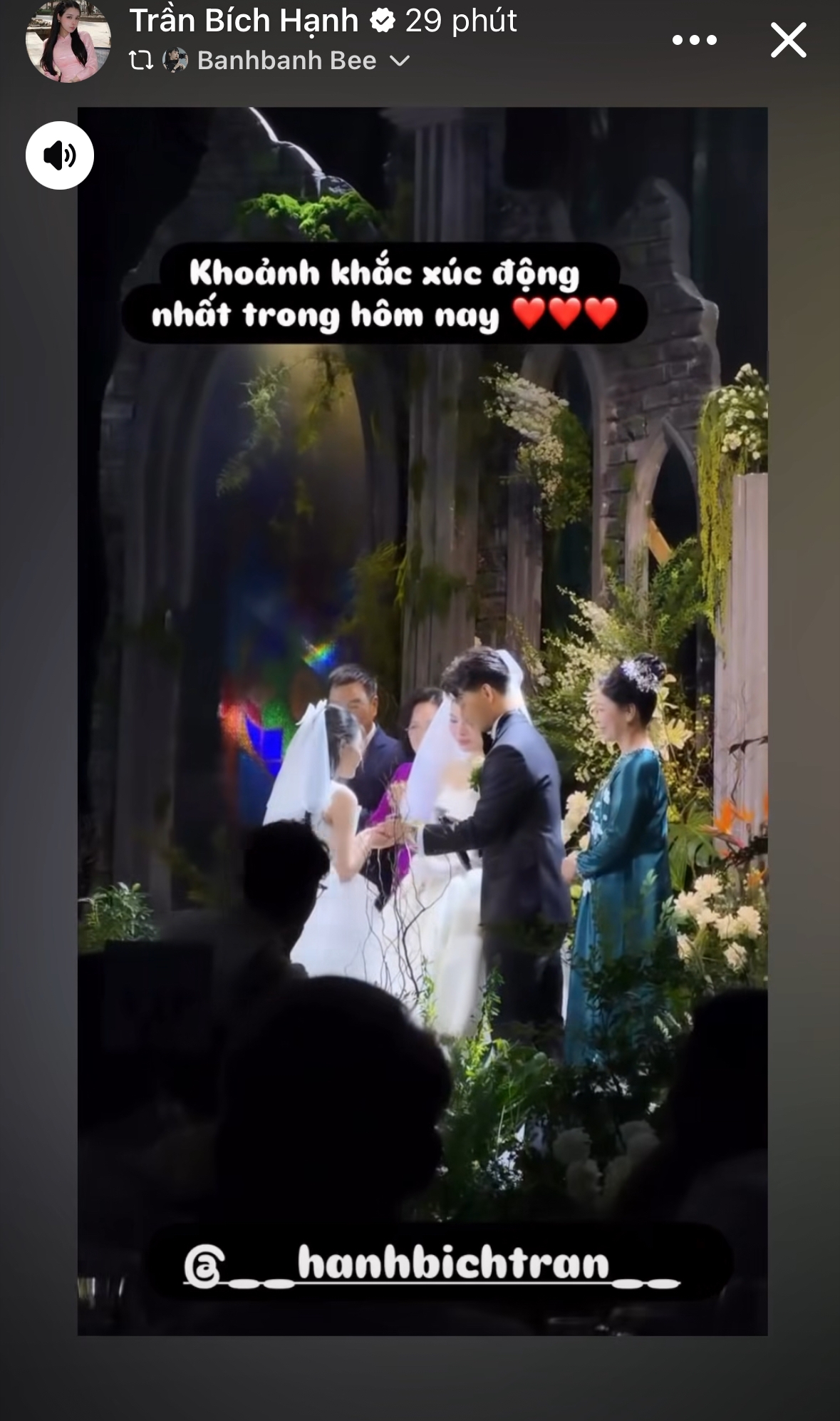 Động thái của Trần Bích Hạnh ngay sau đó.
