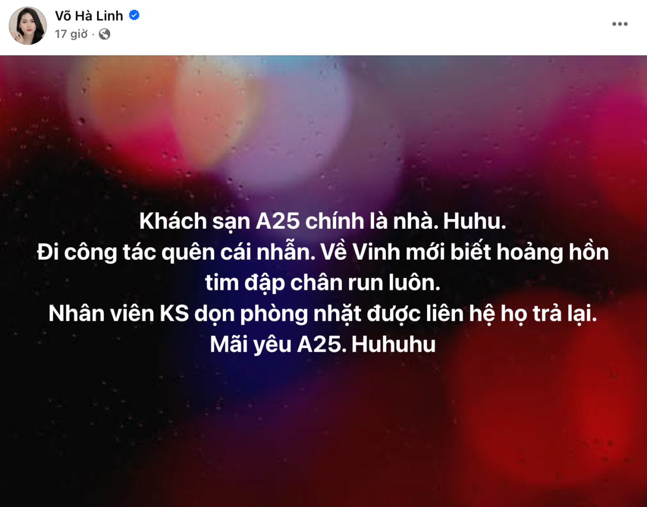 Võ Hà Linh mãi yêu A25